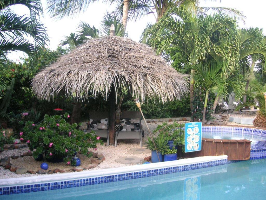 Bananas Apartments Adults Only Palm Beach Kültér fotó