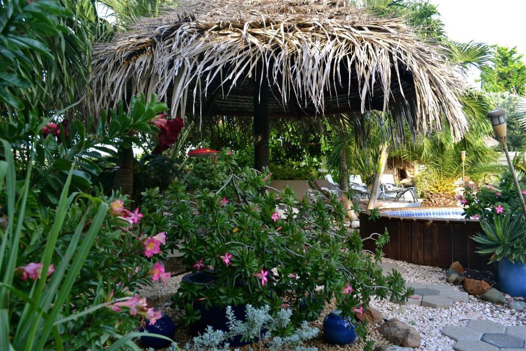 Bananas Apartments Adults Only Palm Beach Kültér fotó
