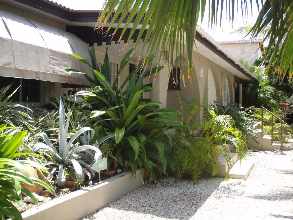 Bananas Apartments Adults Only Palm Beach Kültér fotó