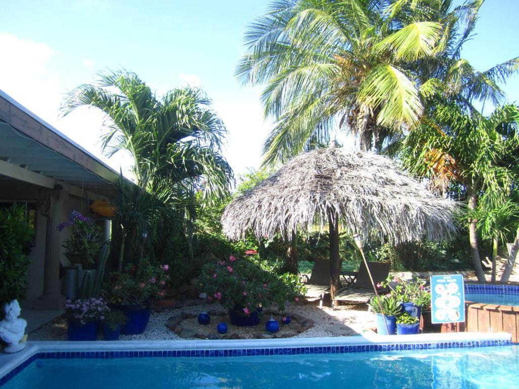 Bananas Apartments Adults Only Palm Beach Kültér fotó